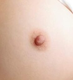 小の分類例