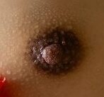 黒色の分類例